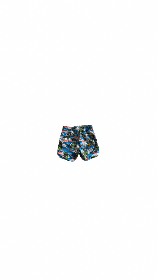 Rock Your Kid Dino Wave Boardshorts - size 4